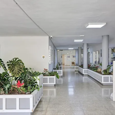 Azalea Costamar Apartment Arona (Tenerife)